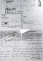 José Carreño Sáez