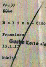 Francisco Molina Olmos