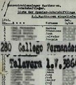 Román Gallego Fernández