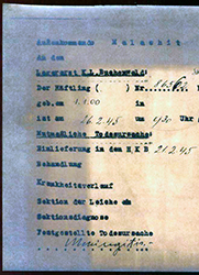 Isolino Torres Fernandez